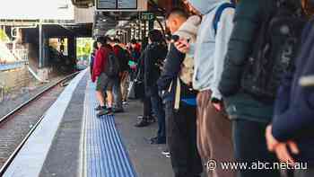 Commuters told to avoid rail travel as Sydney set for week of industrial action chaos