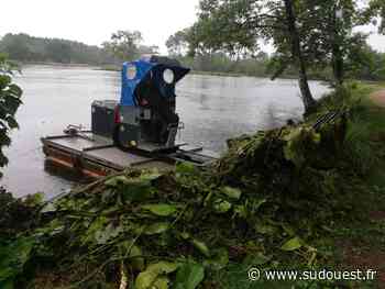 Grand Dax : alerte à la prolifération du myriophylle du Brésil sur les plans d’eau - Sud Ouest