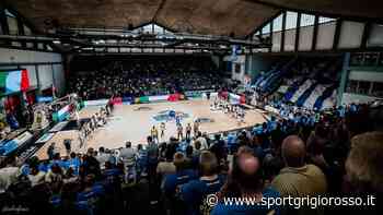 PalaRadi tempio indoor. Il palazzetto di Cremona sarà anche la casa dell'Esperia, club e Comune al lavoro per trovare i giusti accordi - SportGrigiorosso
