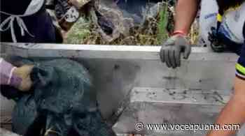 Grandi pulizie a Massa e in Lunigiana, volontari al lavoro su quattro corsi d'acqua - La Voce Apuana