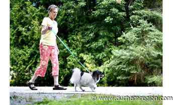 SURVEY SAYS: Brock looks for community thoughts on dog park:September survey to be used to garner public input on interest, use of off-leash park