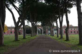 Viviparco, un mese di iniziative a San Rossore - Qui News Pisa