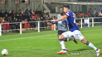 Pedullà: "Pisa, interesse per Nedelcearu e Cuomo" - Tutto B