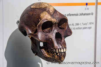 Fossils From The Cradle Of Civilization May Be Much Older Than Originally Thought