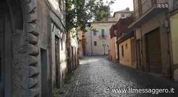 Erba alta nel centro storico, la denuncia del comitato - ilmessaggero.it