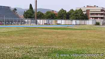 La denuncia dei tifosi del Foligno: “L'erba del Blasone è sempre più gialla” - ValleUmbraSport