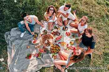 Picnic: ritorna la moda dei pranzi sull'erba. Il 18 giugno la giornata mondiale - Metropolitano.it