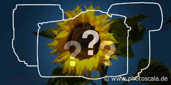 Aktuelle Gerüchte zu Canon, Fujifilm, Hasselblad, OM digital Solutions, Sony und Tamron - photoscala