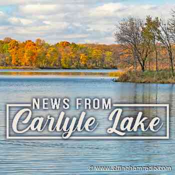 Independence Day Weekend Activities At Carlyle Lake - Samantha Laturno