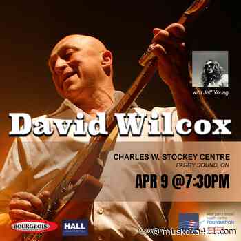 David Wilcox To Perform In Support Of West Parry Sound Health Centre On April 9 - muskoka411.com
