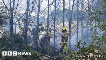 Fire crews save Grays wildlife hospital from blaze