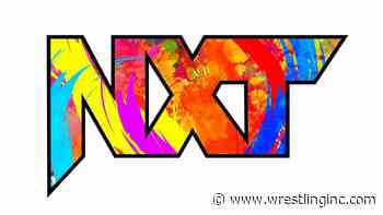 Photo: Released WWE Star Reunites With Top NXT Star - Wrestling Inc.