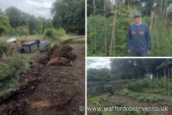 Chorleywood allotments lose easy access water supply