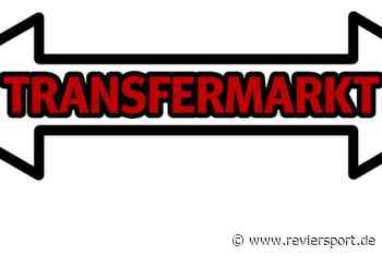 Transferticker: Neuer Job für Lucien Favre, Aachen hat Duo im Visier - RevierSport