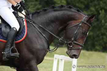 Sport im Westen live: CHIO Aachen - Eröffnungsfeier mit Wincent Weiss - WDR - TV-Programm - prisma