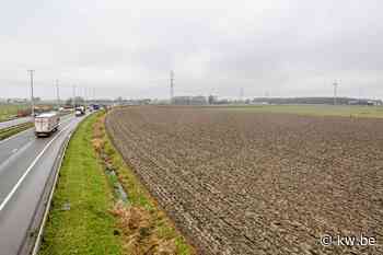 Raf Reuse (Groen) : “Er is slechts plaats voor één voetbalstadion in Brugge” - KW.be - KW.be