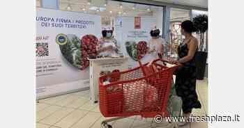 La ciliegia di Vignola IGP conquista i consumatori - Freshplaza.it