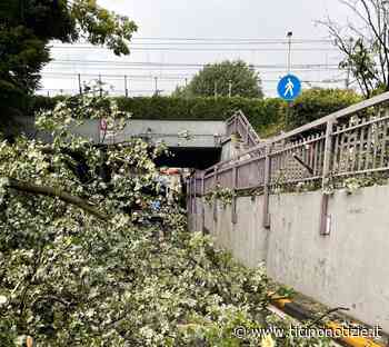 Magenta, il temporale abbatte un albero: bloccato il sottopasso ferroviario di via Espinasse per un'ora - Ticino Notizie