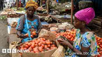 Fertiliser shortage hits African farmers battling food crisis