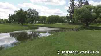 Saskatoon golf course: Holiday Park celebrates 60 years | CTV News - CTV News Saskatoon