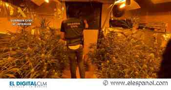 Desmantelan una nueva plantación 'indoor' de marihuana en la provincia de Guadalajara - EL ESPAÑOL