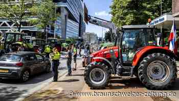 Bauernprotest vor Parlament in Den Haag