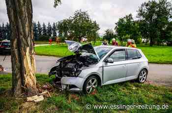 Rettungshubschraubereinsatz in Köngen - Auto fährt frontal gegen Baum - esslinger-zeitung.de