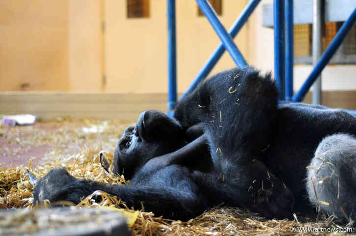 Artist Sued for Alleged Bored Ape Yacht Club Copies, Saudi Arabia Plans Major Art Installations, and More: Morning Links for June 28, 2022