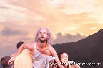 Auf dem Schauplatz des Krieges - Heidelberg - Nachrichten und Informationen - Mannheimer Morgen