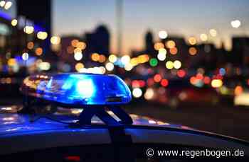 Heidelberg: Mann versteckt sich nachts im Kaufhaus - Regenbogen