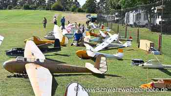 »Segler Classics«: Der Himmel über Wildberg hängt voller Holz