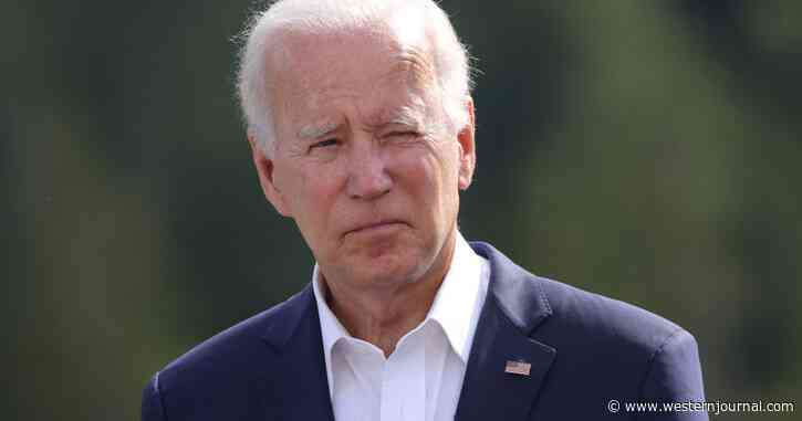Hunter Biden Only Had 4 Words to Say to Damning Evidence About Russian Escorts