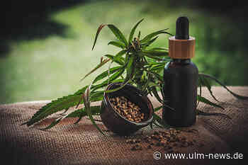 CBD Öl: Die Anti-Stress-Waffe