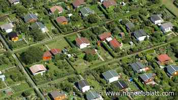 Steuertipp: So lässt sich der Schrebergarten steuerfrei verkaufen