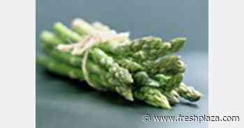 US Northeast region sees 5% increase in consumer asparagus consumption - FreshPlaza.com