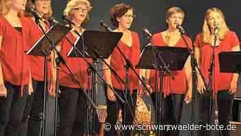 Ton-Art Nagold: Zwei Sommerkonzerte geplant