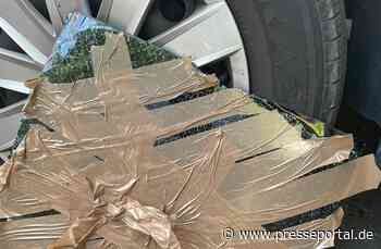 FW Celle: Celler Feuerwehr rettet Hund aus Auto