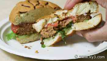 Consumer Reports: Top mock meats - KY3