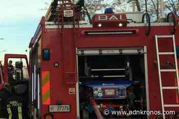 Roma, tragedia sfiorata in via Marco Polo: albero cade e colpisce auto - Adnkronos