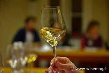 Elezioni Ais 2022, i risultati: alta affluenza dei sommelier al voto online 2022-2026 - WineMag.it