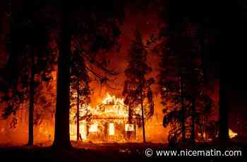 Avec le réchauffement, des régions "immunisées" seront touchées par des incendies