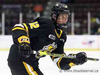 Wainwright's work pays off with Sting - The Sarnia Observer