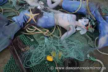 UN chief: national selfishness delaying global oceans deal - Dawson Creek Mirror