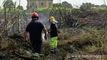 Roma in fiamme, il giorno dopo gli incendi: "Nessuno controlla il taglio delle erbacce"