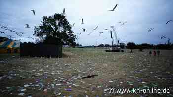 Riesige Müllberge: Wie passen Klimaschutz und Festivals zusammen?