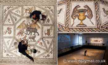 Stunning Roman mosaic featuring wild animals and marine scenes returns to Israel after tour 