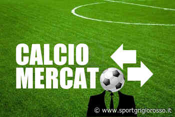 SERIE D Offerta lussuosa della Luparense per bomber Ferretti del Crema - SportGrigiorosso