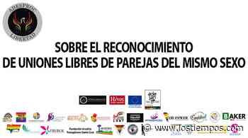 Sobre el reconocimiento de uniones libres de parejas del mismo sexo - Los Tiempos