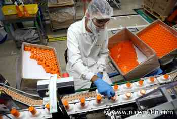 Lancaster : une success story née dans un garage à Monaco il y a 76 ans