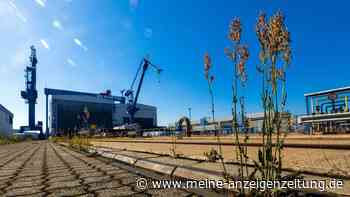 Bund erhält Zuschlag für Warnemünder Werft